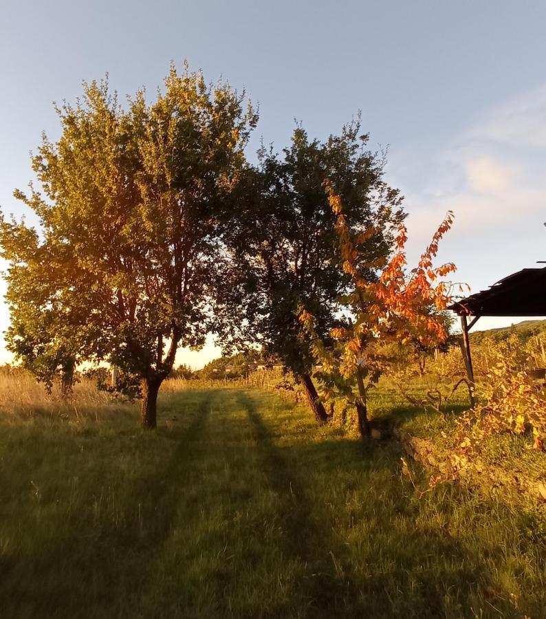 מילו B&B Casa Althea מראה חיצוני תמונה